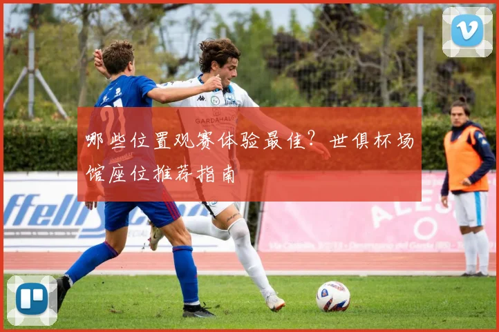 哪些位置观赛体验最佳？世俱杯场馆座位推荐指南