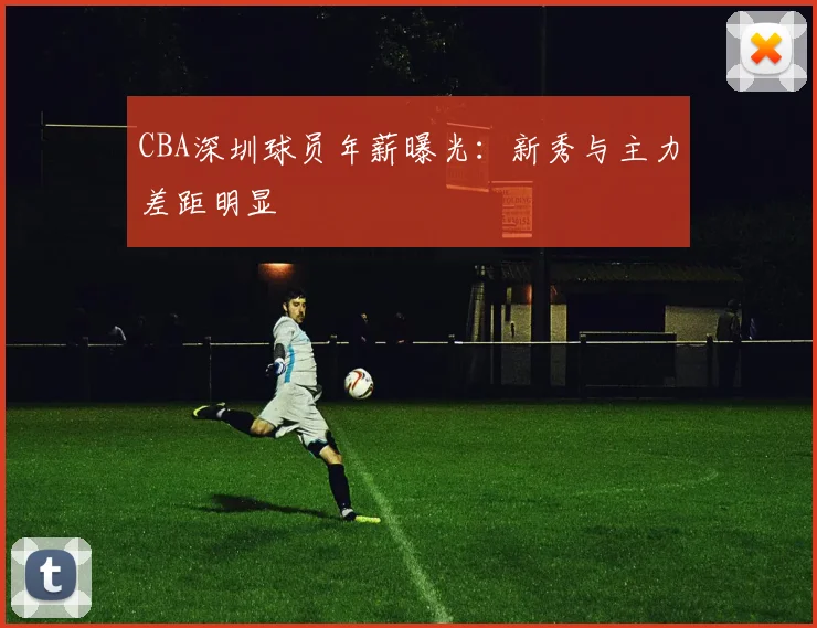 CBA深圳球员年薪曝光：新秀与主力差距明显