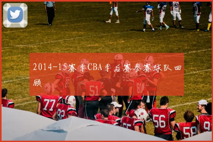 2014-15赛季CBA季后赛参赛球队回顾