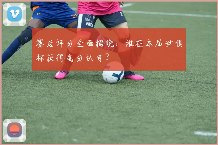 赛后评分全面揭晓，谁在本届世俱杯获得高分认可？