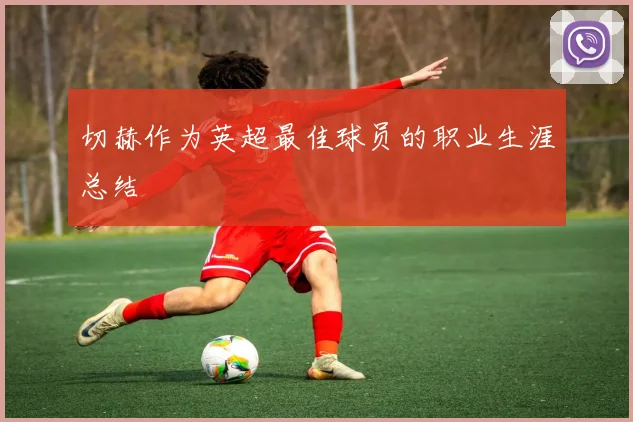 切赫作为英超最佳球员的职业生涯总结