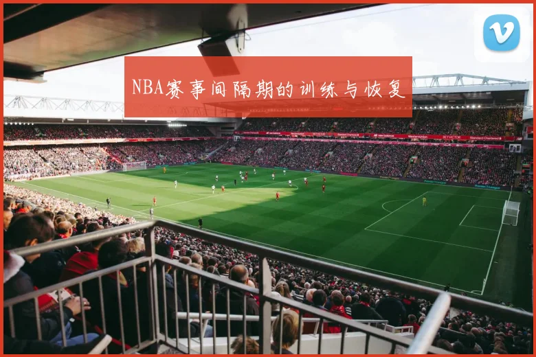 NBA赛事间隔期的训练与恢复