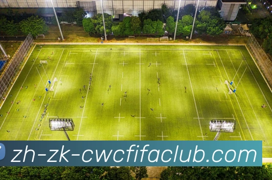 数据防护可视化